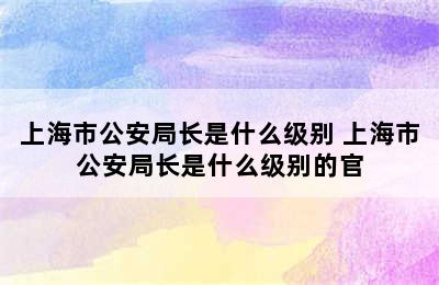 上海市公安局长是什么级别 上海市公安局长是什么级别的官